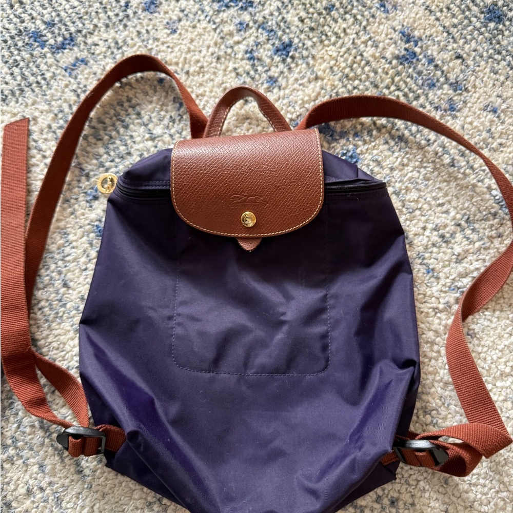 Longchamp Purple and Brown Mini Bag (SEE NOTE in description)